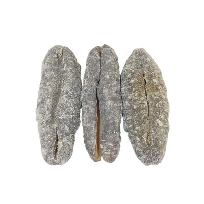 澳洲豬婆參(3-4條)(600g) | 可代浸泡 海參