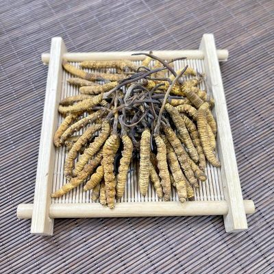 【限時清倉】一級蟲草(130-150條)(37.5g)