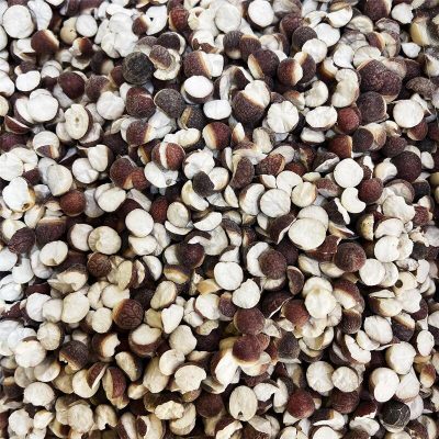 肇慶茨實(300g) | 固腎 補脾止泄