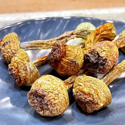 姬松茸(150g) |
