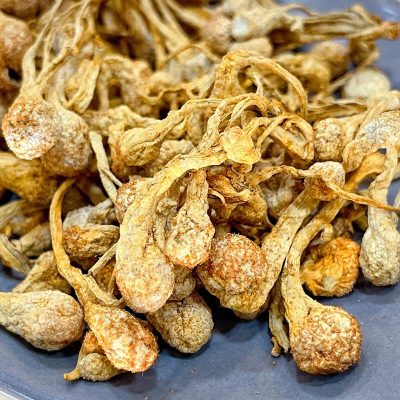 孢子蟲草花(75g) | 培植精品