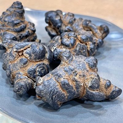 雲南製田七(37.5g) | 熟田七
