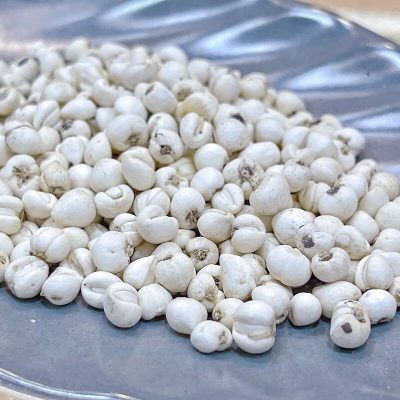 原色松貝/川貝(37.5g) | 化痰止咳平喘