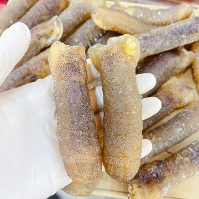 澳洲光禿海參(600g) | 發頭超級勁 厚肉
