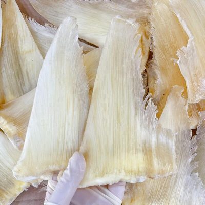 精選勾翅魚翅(8寸)(600g)