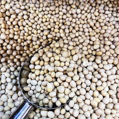 加拿大黃豆(300g)