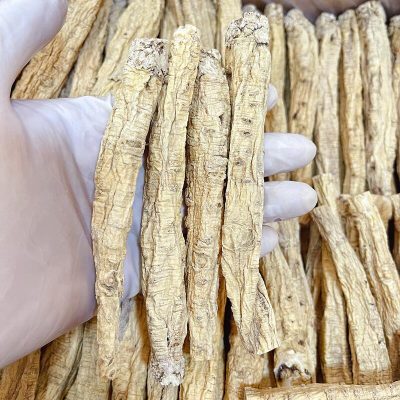 尚品黨參(37.5g) | 補中益氣