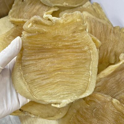 16年印度鰵魚花膠公4.5頭(每隻) | 收藏級生開公肚陳年老膠