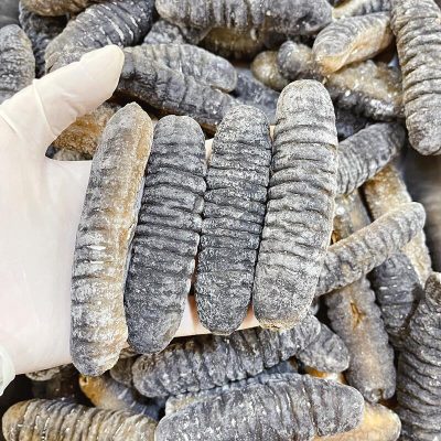 澳洲紋禿參(大)(10-11條)(600g) | 澳洲海參