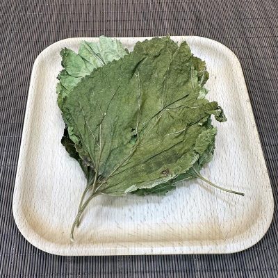 桑葉(37.5g)|疏風散熱