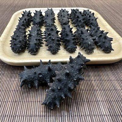 【限時清倉】一級大連遼參35-45頭(600g) |(可免費代浸泡)