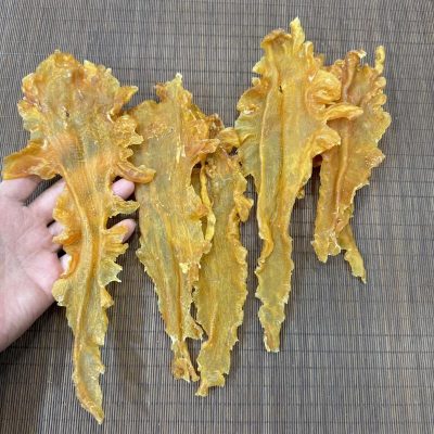 深海鱈魚膠（約15-19只/斤）|特大鱈魚魚肚 抵食花膠
