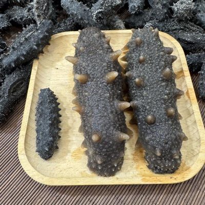 【超筍推介】日本青森遼參(600g)(70-80條) | 日本海參