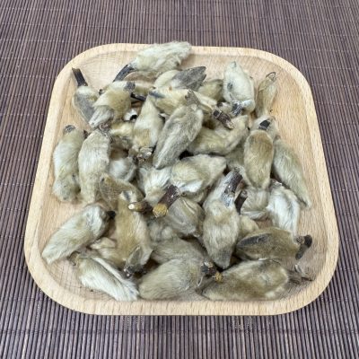 辛夷花(37.5g)|發散風寒 通竅止痛