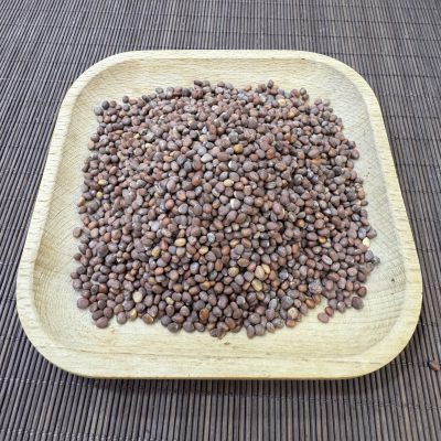 萊菔子(37.5g)|消食除脹 降氣化痰