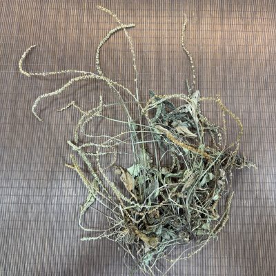 車前草(37.5g)|清熱利尿 滲濕止瀉